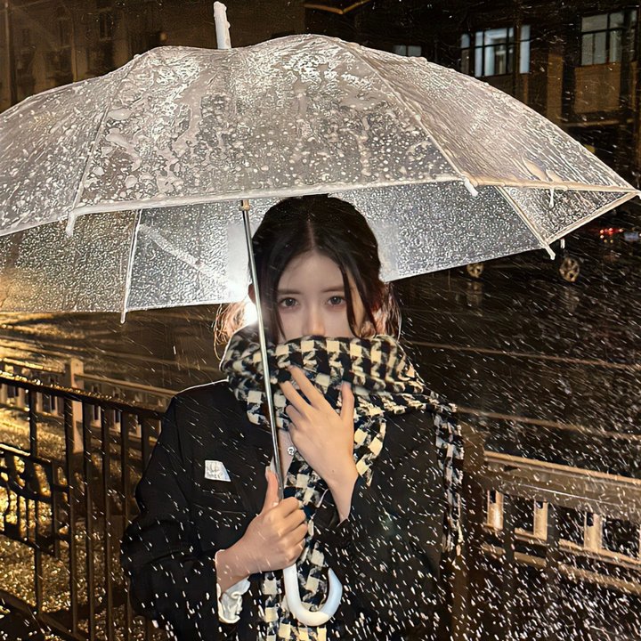 蝙蝠女侠第一季